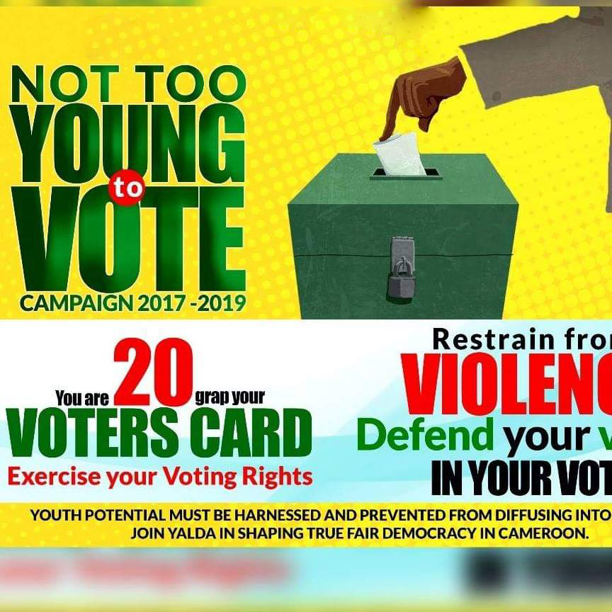 Engaging Youths in Civic Participation and Democratic Processes